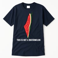 Watermelon This Is Not A Watermelon Palestine Collection Tall T-Shirt