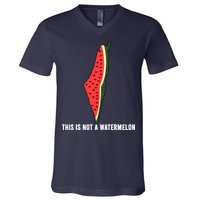 Watermelon This Is Not A Watermelon Palestine Collection V-Neck T-Shirt