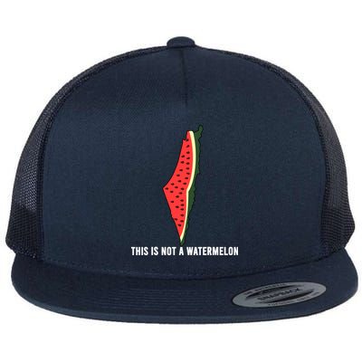 Watermelon This Is Not A Watermelon Palestine Collection Flatbill Hat