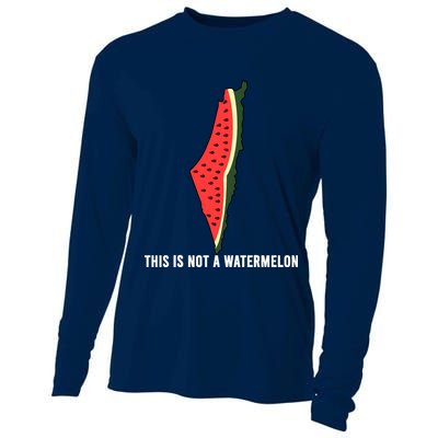 Watermelon This Is Not A Watermelon Palestine Collection Cooling Performance Long Sleeve Crew