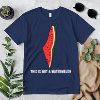 Watermelon This Is Not A Watermelon Palestine Collection Premium T-Shirt