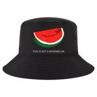 Watermelon This Is Not A Watermelon Palestine Collection Cool Comfort Performance Bucket Hat