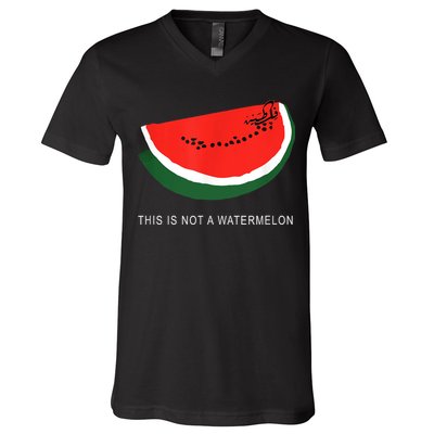 Watermelon This Is Not A Watermelon Palestine Collection V-Neck T-Shirt