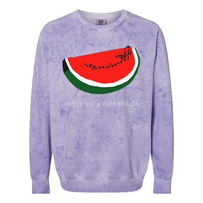 Watermelon 'This is Not a Watermelon' Palestine Collection  Colorblast Crewneck Sweatshirt