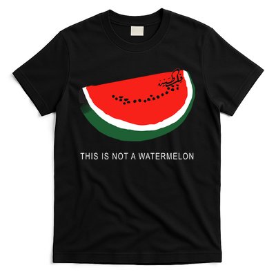 Watermelon This Is Not A Watermelon Palestine Collection T-Shirt