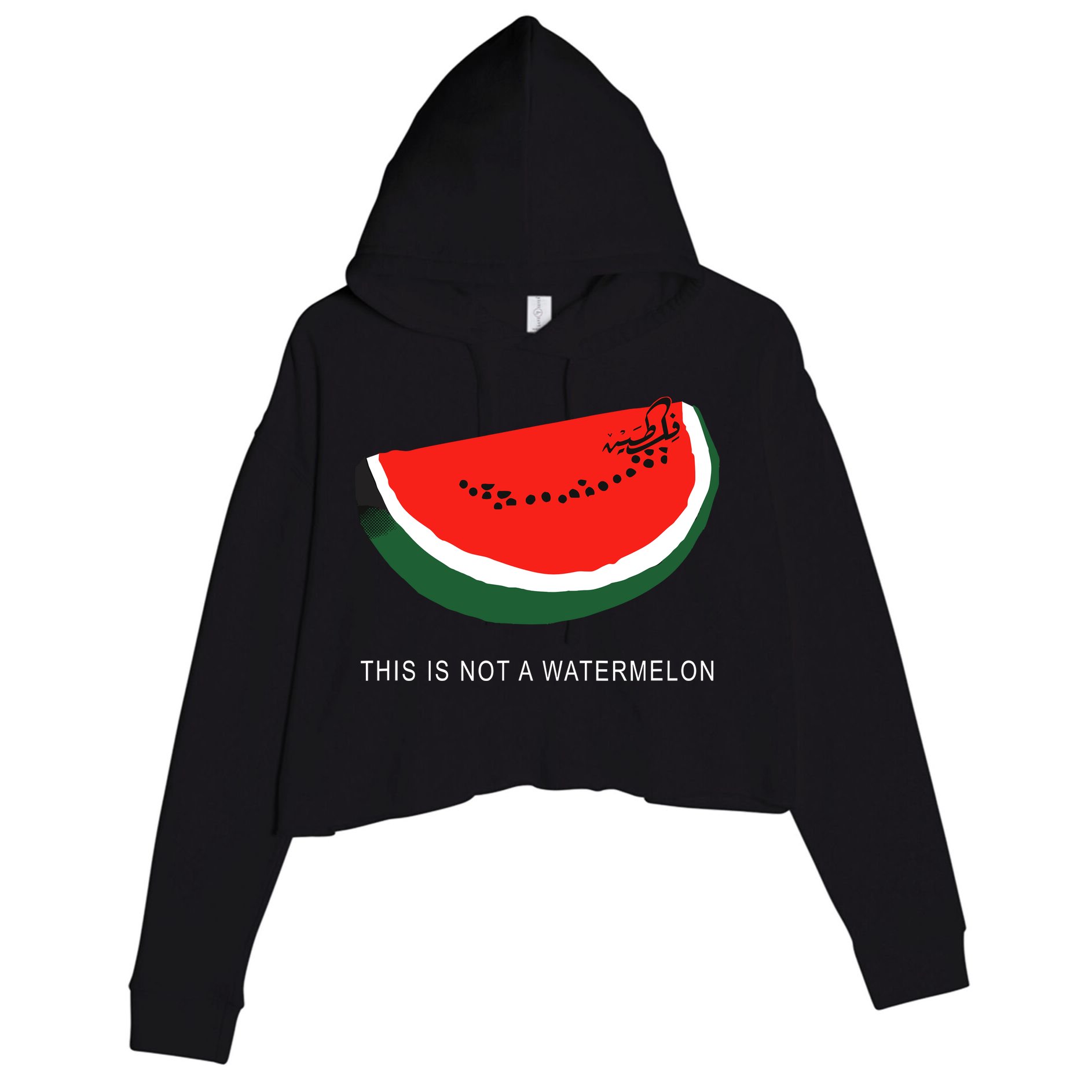 Watermelon This Is Not A Watermelon Palestine Collection Crop Fleece Hoodie