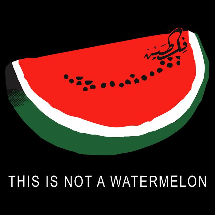 Watermelon This Is Not A Watermelon Palestine Collection Youth Performance Sprint T-Shirt
