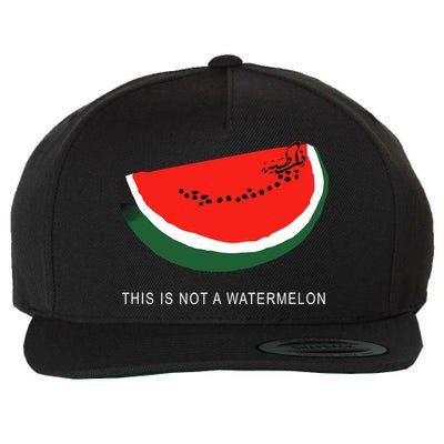 Watermelon This Is Not A Watermelon Palestine Collection Wool Snapback Cap