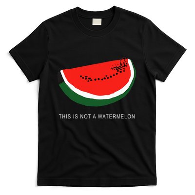 Watermelon This Is Not A Watermelon Palestine Collection T-Shirt