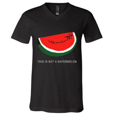 Watermelon This Is Not A Watermelon Palestine Collection V-Neck T-Shirt