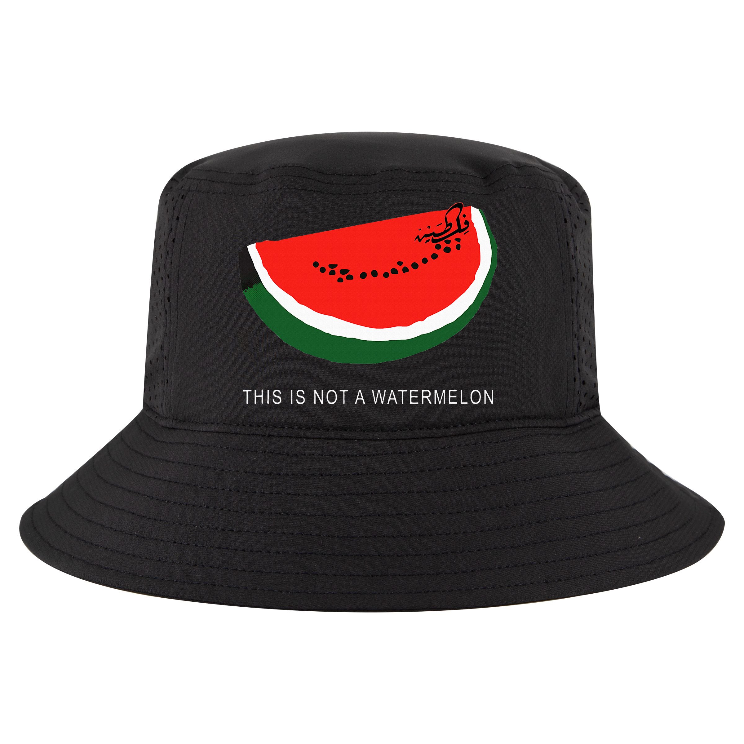 Watermelon This Is Not A Watermelon Palestine Collection V-Neck T-Shirt
