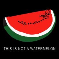 Watermelon This Is Not A Watermelon Palestine Collection Cooling Performance Long Sleeve Crew