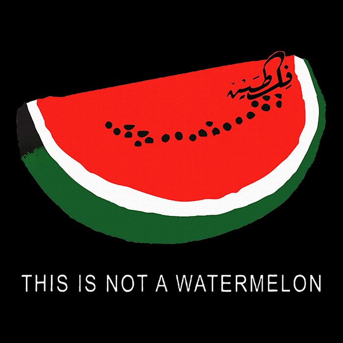 Watermelon This Is Not A Watermelon Palestine Collection Cooling Performance Long Sleeve Crew