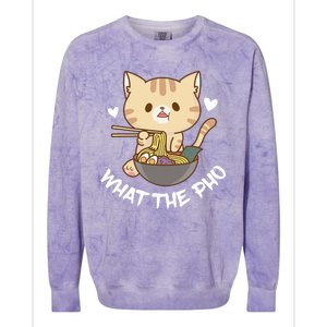 What The Pho Cat Vietnamese Food Colorblast Crewneck Sweatshirt