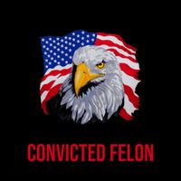 We The People Im Voting For The Convicted Felon 2024 Usa Eagle Mug