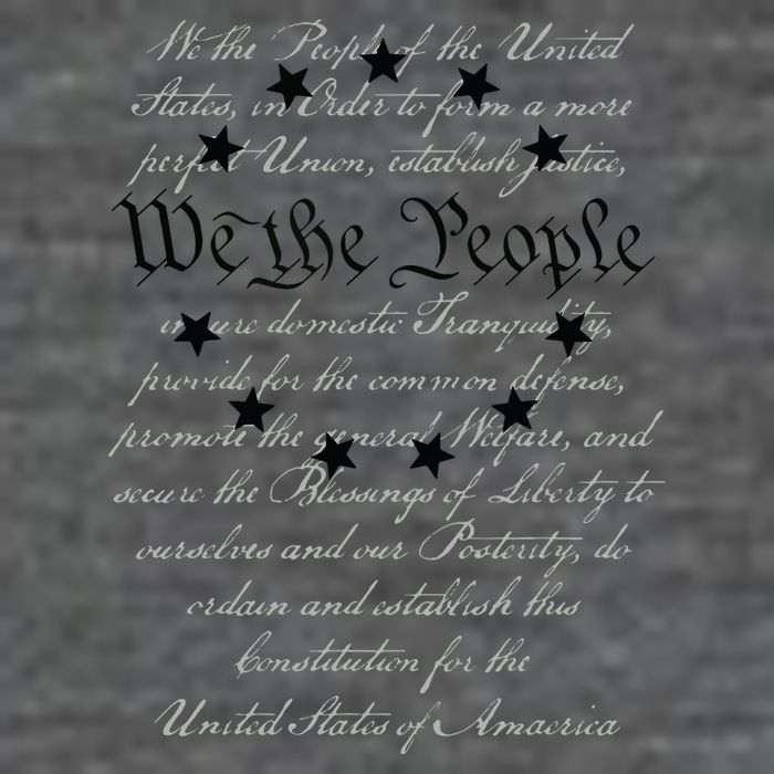 WE THE PEOPLE Preamble US Constitution 4th Of July White 7 Panel Mesh Trucker Snapback Hat