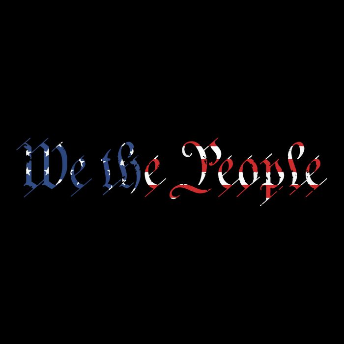 We The People US Constitution 1776 Freedom American Flag Impact Tech Backpack