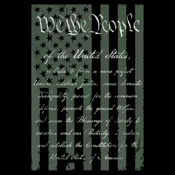 WE THE PEOPLE US CONSTITUTION PREAMBLE UNITED STATES FLAG 16 in Basic Backpack