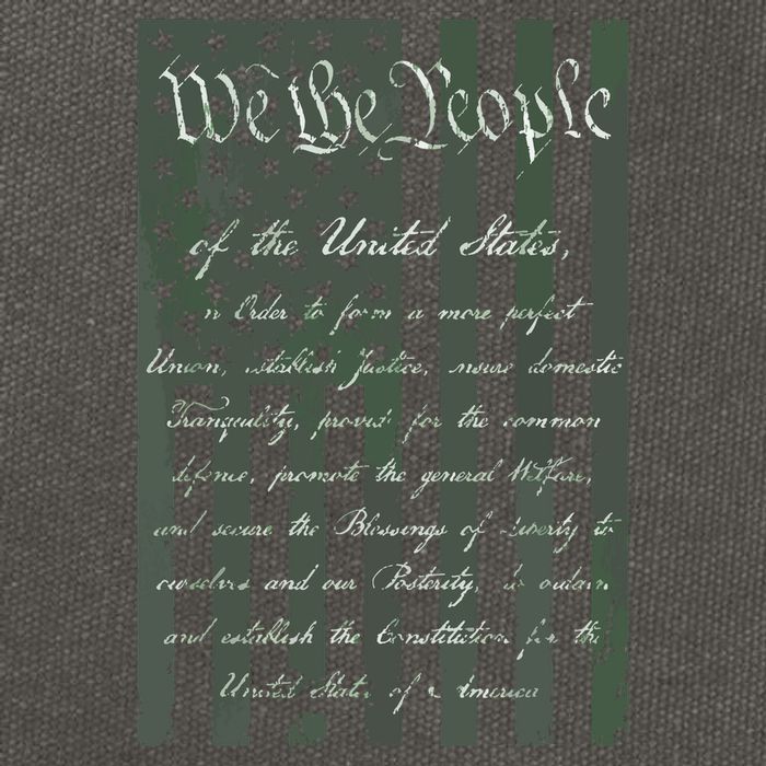 WE THE PEOPLE US CONSTITUTION PREAMBLE UNITED STATES FLAG Cotton Canvas Backpack