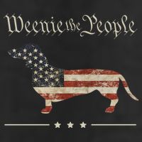 Weenie The People Funny Dachshund 4th Of July USA Beanie