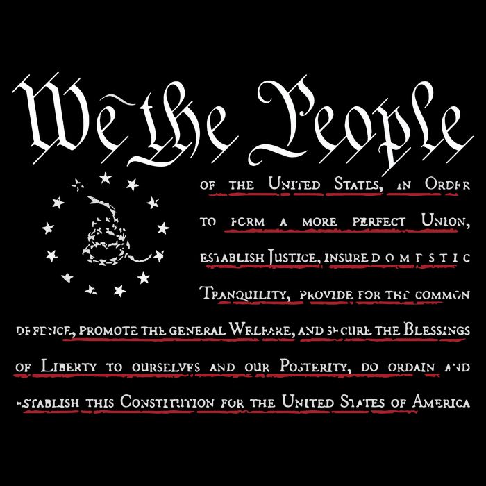 We The People Gadsden USA Flag Preamble Of The Constitution Cooling Performance Crew T-Shirt