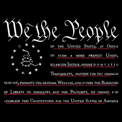 We The People Gadsden USA Flag Preamble Of The Constitution T-Shirt