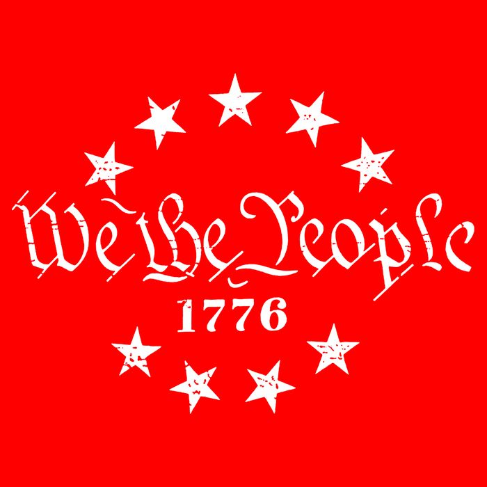 We The People Patriotic 4th Of July American Flag Toddler T-Shirt