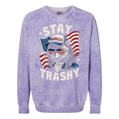 White Trash Party Attire Redneck Raccoon Stay Trashy Usa Colorblast Crewneck Sweatshirt