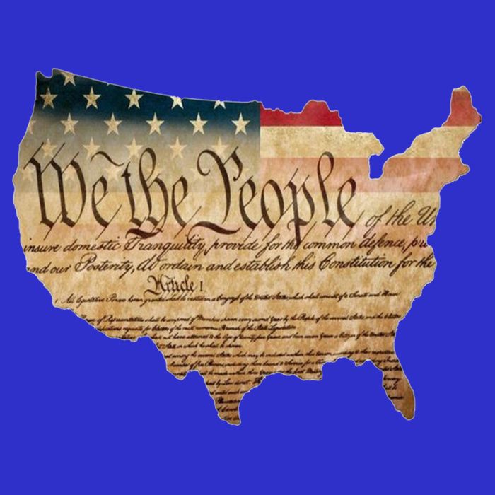 We The People Constitution Usa Flag 2nd Adt Gun Rights Gift Kids Hoodie