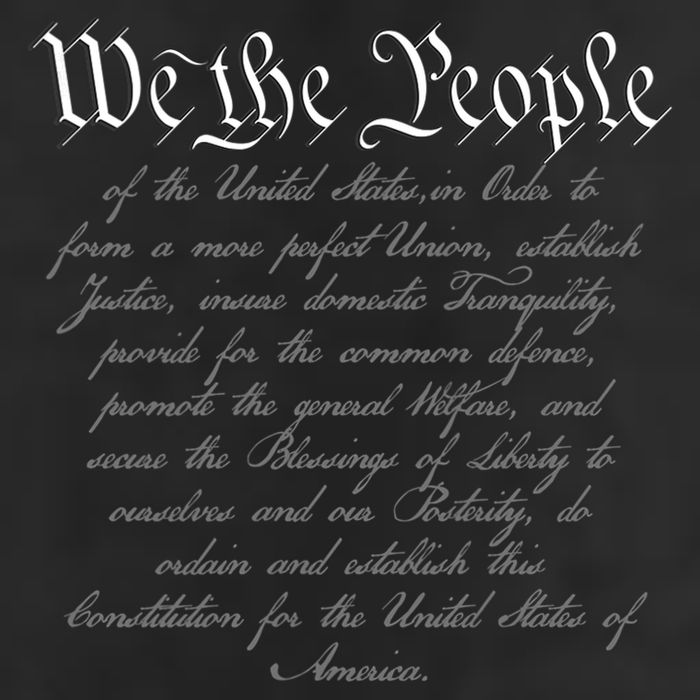 We The People US Constitution 4th Of July Patriotic Adult Drive Performance Visor