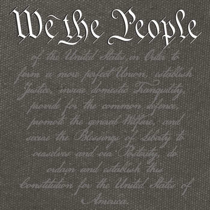 We The People US Constitution 4th Of July Patriotic Cotton Canvas Backpack