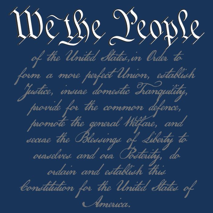 We The People US Constitution 4th Of July Patriotic Long Sleeve Shirt
