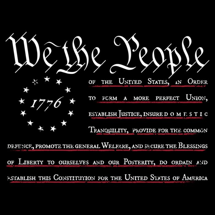 We The People Betsy Ross Flag Preamble Of The Constitution Gift Impact Tech Backpack