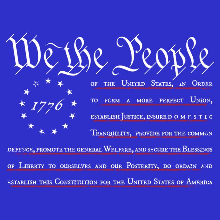 We The People Betsy Ross Flag Preamble Of The Constitution Gift Kids Sweatshirt