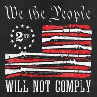 We The People Will Not Comply Progun Rights 2nd Amendment 7 Panel Mesh Trucker Snapback Hat