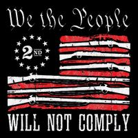 We The People Will Not Comply Progun Rights 2nd Amendment 7-Panel Snapback Hat
