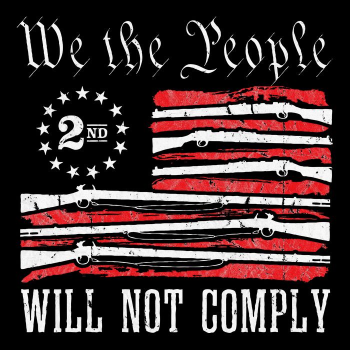 We The People Will Not Comply Progun Rights 2nd Amendment 16 in Basic Backpack