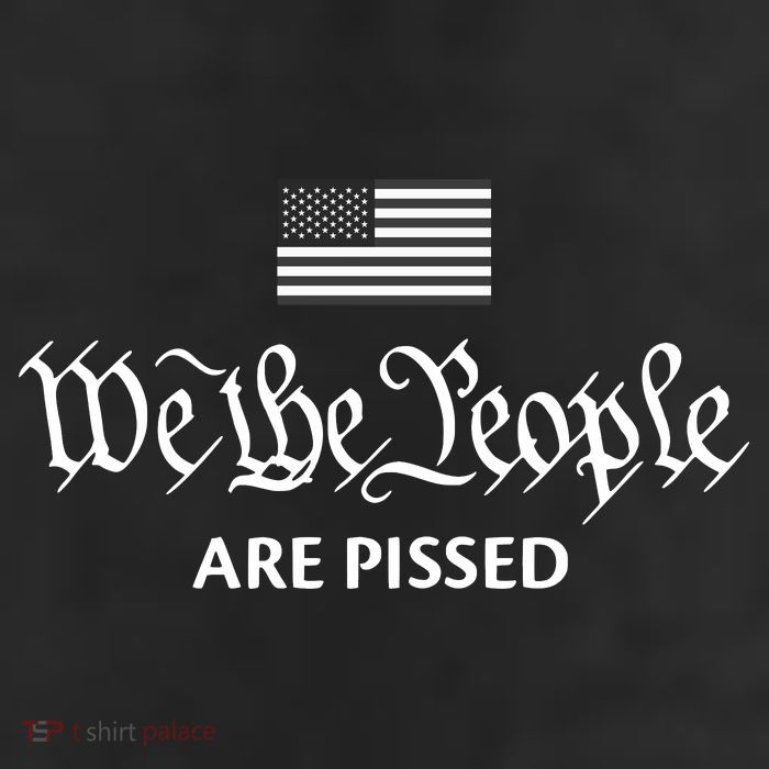 We The People Are Pissed Preamble Constitution Political Beanie