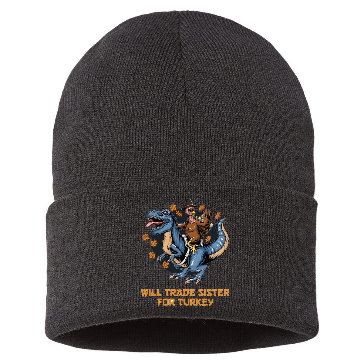 Will Trade Sister For Turkey Thanksgiving Sustainable Knit Beanie
