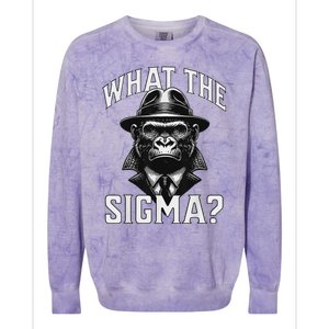 What The Sigma Brainrot Colorblast Crewneck Sweatshirt