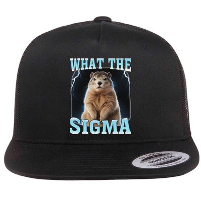 What The Sigma Meme Groundhog Day Funny Groundhog Flat Bill Trucker Hat