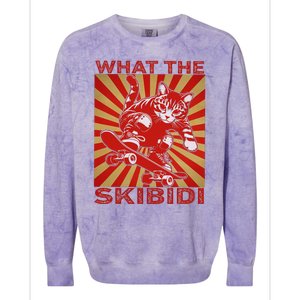 What The S.K.I.B.I.D.I Funny Meme Cat Lover Saying Humor Sarcastic Colorblast Crewneck Sweatshirt