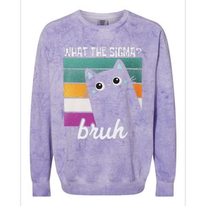 What The Sigma Bruh Funny Meme Black Cat Saying Retro Quote Colorblast Crewneck Sweatshirt