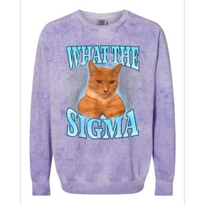 What The Sigma Meme Cat Erm What The Sigma Meme Cat Ironic Brainrot Colorblast Crewneck Sweatshirt