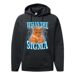 What The Sigma Meme Cat Erm What The Sigma Meme Cat Ironic Brainrot Performance Fleece Hoodie