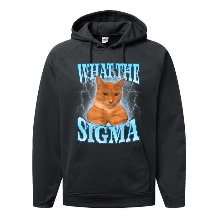 What The Sigma Meme Cat Erm What The Sigma Meme Cat Ironic Brainrot Performance Fleece Hoodie