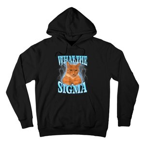 What The Sigma Meme Cat Erm What The Sigma Meme Cat Ironic Brainrot Hoodie