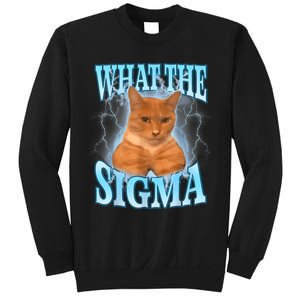 What The Sigma Meme Cat Erm What The Sigma Meme Cat Ironic Brainrot Sweatshirt