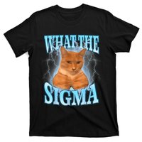 What The Sigma Meme Cat Erm What The Sigma Meme Cat Ironic Brainrot T-Shirt