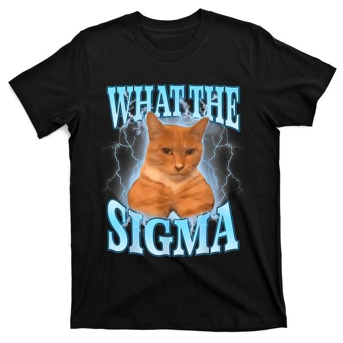 What The Sigma Meme Cat Erm What The Sigma Meme Cat Ironic Brainrot T-Shirt